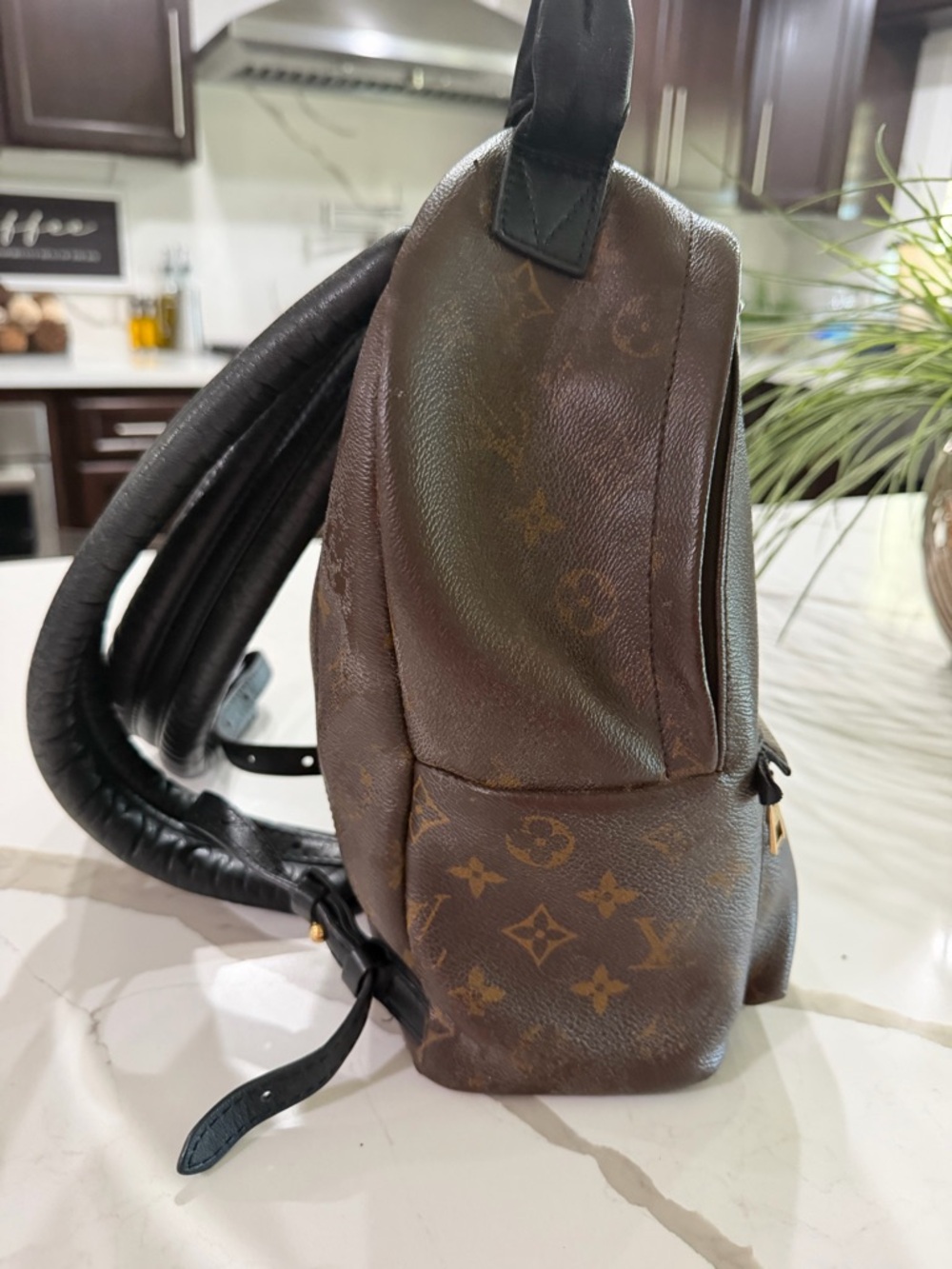 Louis Vuitton Monogram Mini Backpack in Brown with Gold Hardware - Picture 2 of 6